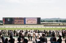 Horse Racing Tour with Local Fans in Tokyo（with Ticket）