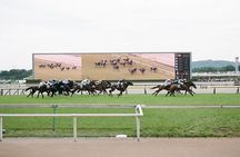 Horse Racing Tour with Local Fans in Tokyo（with Ticket）
