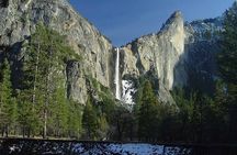 Full Day Yosemite National Park Tour from Oakland