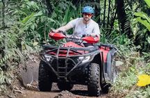 Bali ATV Quad Bike Adventure Jungle, Rice Fields and Waterfalls