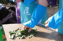 Unique Matcha Experience in Nishio: Matcha Tour and Matcha Making