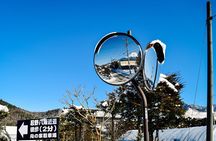 Private Mount Fuji Tour: Scenic Views, Lakes & Local Culture