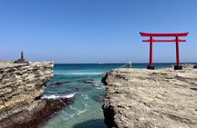 Ultimate View Izu Car Tour with Hotel Pickup and Local Guide