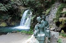 Ultimate View Izu Car Tour with Hotel Pickup and Local Guide