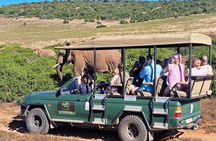 Schotia Tooth & Claw Safari–The Ultimate Big5 Wildlife Experience