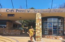  Exploration of Wonders Cape Town Nature City and Wine in 3 Days