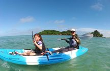  Paddle Snorkel BBQ and Peace Memorial Visit