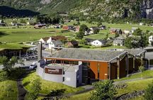 Eidfjord Shore Excursion with Scenic Adventure