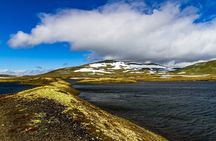 Eidfjord Shore Excursion with Scenic Adventure