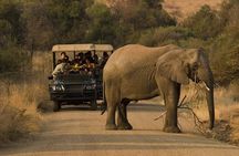 3 Day Pilanesberg Tlou Tented Safari Camp (En-Suite)