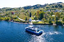 Bergen Mostraumen Fjord Cruise with Local Guide