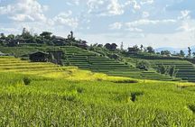 Private Tour to Chiang Mai Rice Terraces and National Park