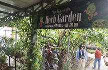 Ipoh Agro Farms and Caves Tour 