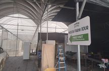 Ipoh Agro Farms and Caves Tour 