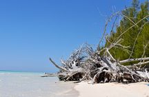 Carnival Celebration Key Bahamas Shared Tour
