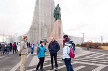Elves and Nature Reykjavik Driving Tour