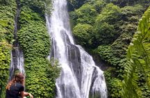 North Bali Hidden Gems Tour Ulun Danu Temple Twin Lakes Waterfall