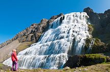 Private Dynjandi Waterfall and Farm Tour: Pickup from Isafjordur