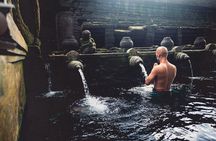 Ubud Iconic Full Day Tour Monkey Forest Rice Terraces Waterfalls