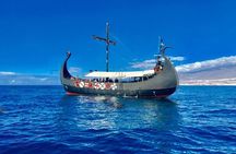 3h Viking Cruise with Drinks, Whales watching & Swimming Time