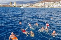 3h Viking Cruise with Drinks, Whale Watching and Swimming Time