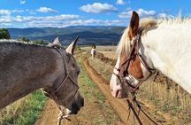 Escape Sofia: horse ride through Bulgaria's beauty