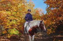 Escape Sofia: horse ride through Bulgaria's beauty