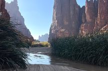 Wadi Al Disah Trip from Alula