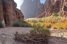 Wadi Al Disah Trip from Alula