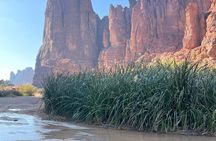 Wadi Al Disah Trip from Alula