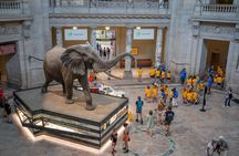 Smithsonian Natural History Museum Exclusive Guided Tour