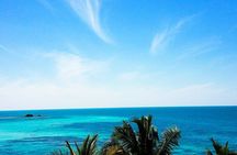 Private Full-Day Tour of Florida Keys from Miami/FLL to Key West