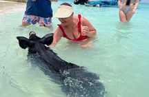 All Inclusive Pig Encounter, Snorkeling, Turtles, Lunch & Beach