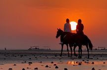 Private Horseback Riding in Muscat Beach