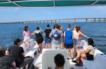Pensacola Beach Dolphin and Scenic Tour