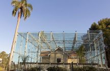 Classic Tiger Delta Sailing with City Tour in Tiger