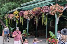 Butchart Gardens and City Private Tour