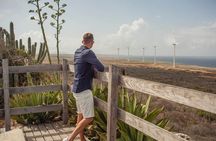 Turtles, Beach and Flamingo in Curacao Private photoshoot Tour