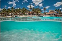 Sea Turtle and Cenote Snorkeling Tour