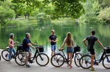 Bike / E-bike Tour : Downtown, Old Montreal, Waterfront by Fitz