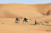 3 Days Trekking in Mhamid's desert