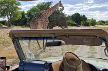 Chobe National Park with Lunch: From Victoria Falls Zimbabwe
