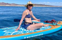 Paddle Board Rentals in Lake Mead