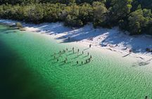 Dingos 2 Day K'Gari (Fraser Island) 4WD Tag-Along Tour