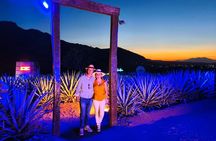 Alma Tequilera : Taste, Feast and Tradition. Sensory Tasting