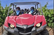 ATV Adventure thru Wine Country w Port Pick Up