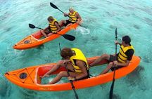 CLEAR BOTTOM KAYAKS Tour in Bioluminescent, Mosquito Bay