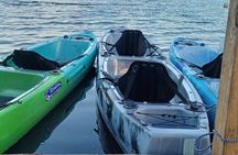 CLEAR BOTTOM KAYAKS Tour in Bioluminescent, Mosquito Bay