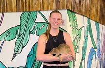 Siem Reap Guided Tour & Hero RATs at APOPO Visitor Center