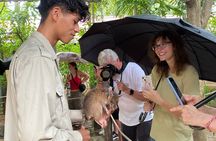 Siem Reap Guided Tour & Hero RATs at APOPO Visitor Center